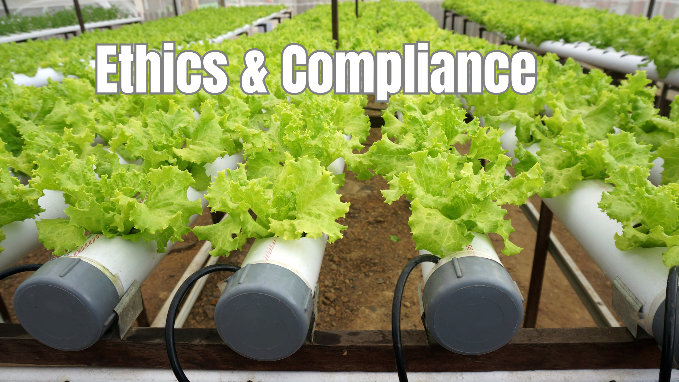 Ethics Header
