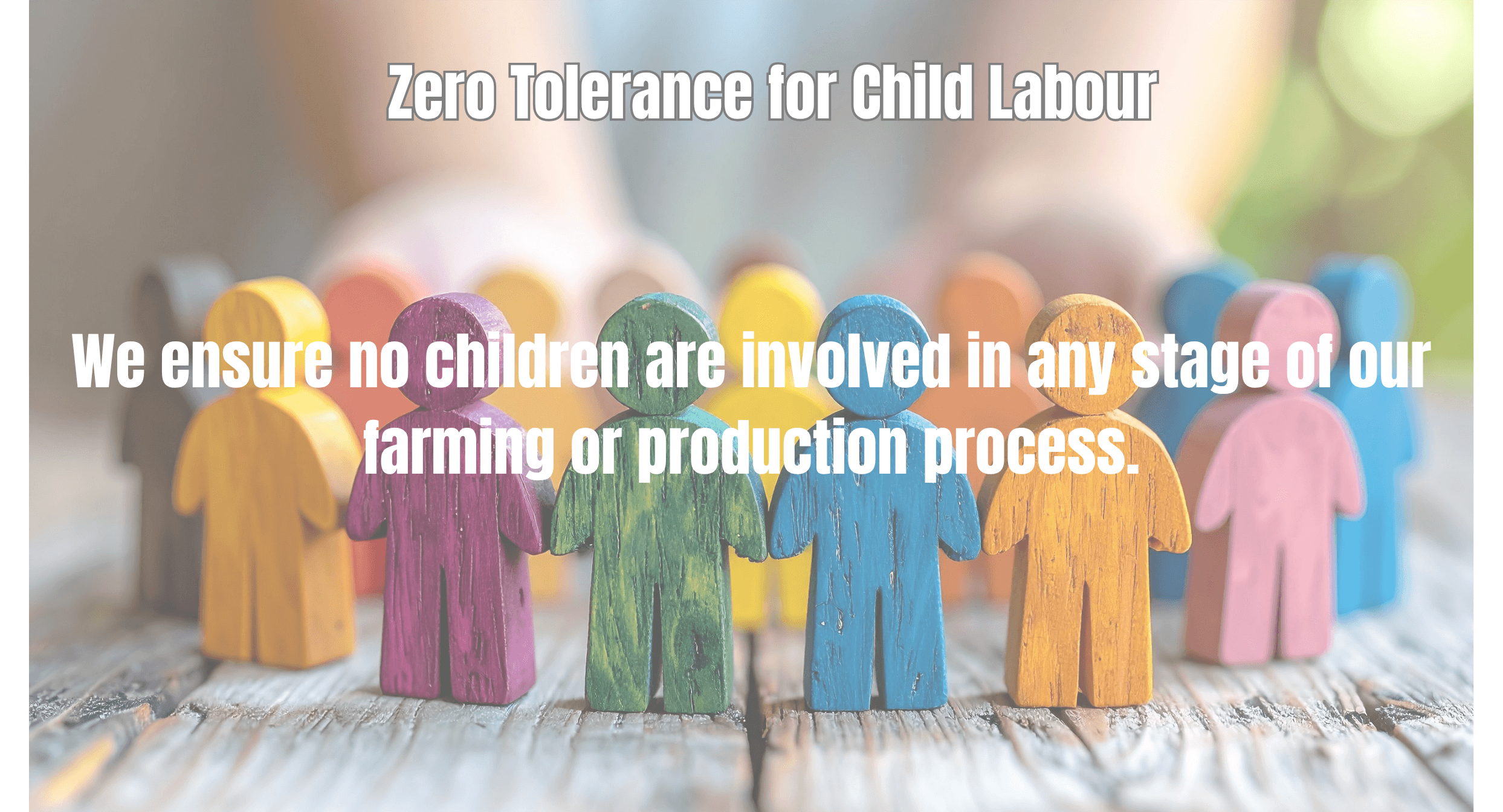 Labor Rights