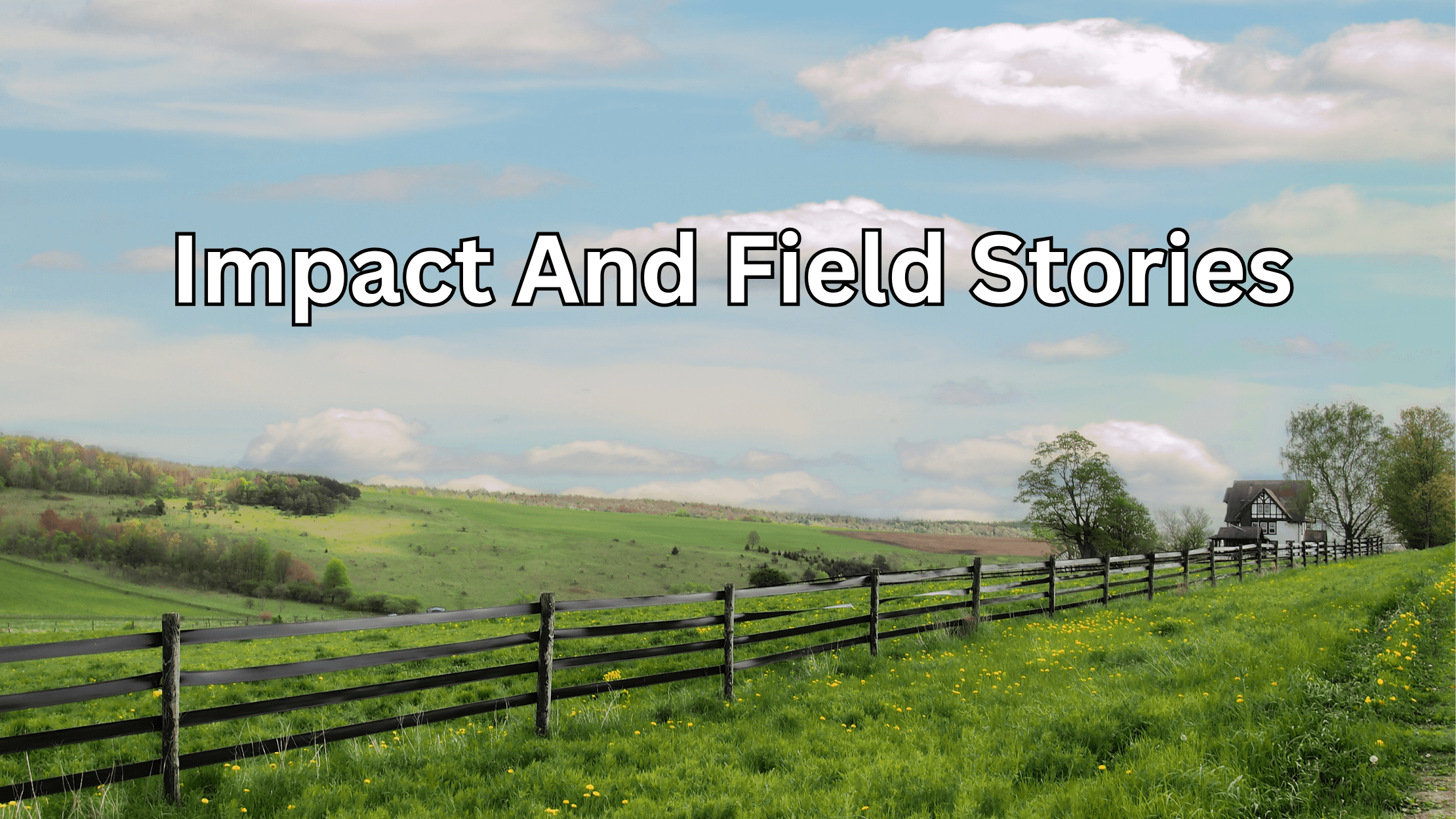 Impact & Field Stories